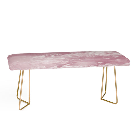 Lisa Argyropoulos Through Rose Colored Glasses Bench