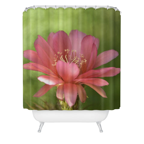 Lisa Argyropoulos Torch Shower Curtain