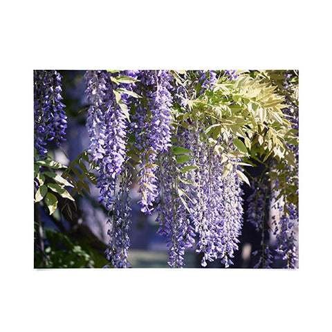 Lisa Argyropoulos Wisteria Poster
