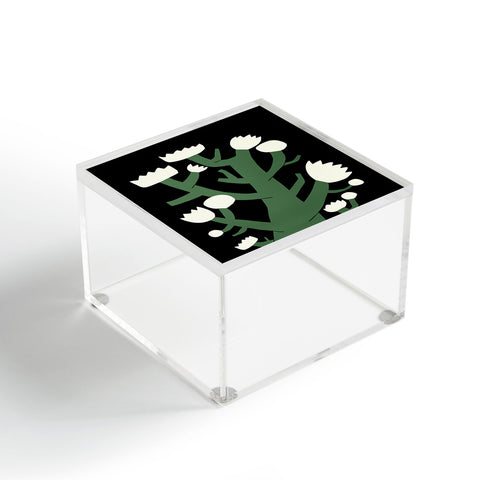 Little Dean White blossom spring Acrylic Box