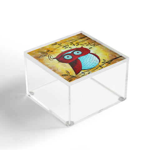Madart Inc. Peekaboo Acrylic Box