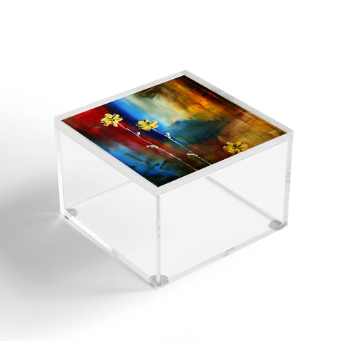 Madart Inc. Soft Touch Acrylic Box
