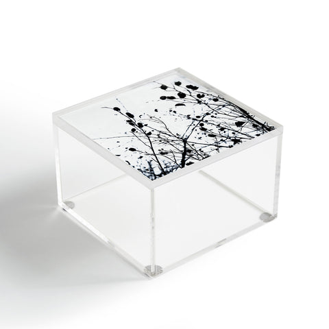 Mareike Boehmer Abstract Tree Acrylic Box