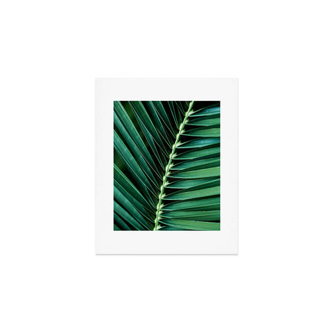 Mareike Boehmer Palm Leaves 14 Art Print