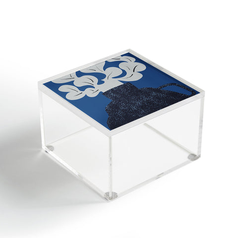 Marin Vaan Zaal Still Life with Modern Plant in Blue Acrylic Box