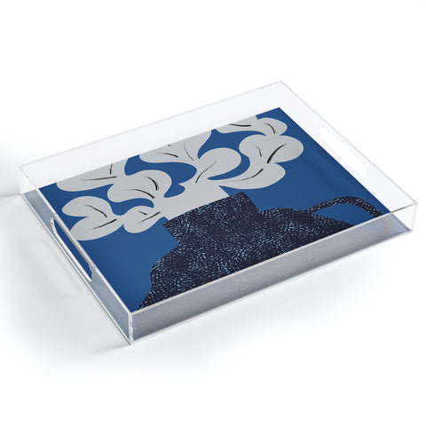 Marin Vaan Zaal Still Life with Modern Plant in Blue Acrylic Tray