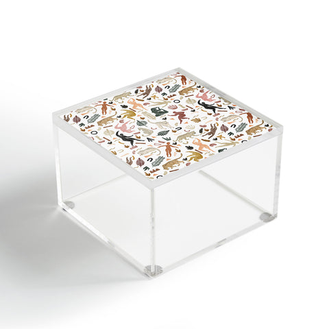 Marta Barragan Camarasa Abstract shapes of wild desert Acrylic Box