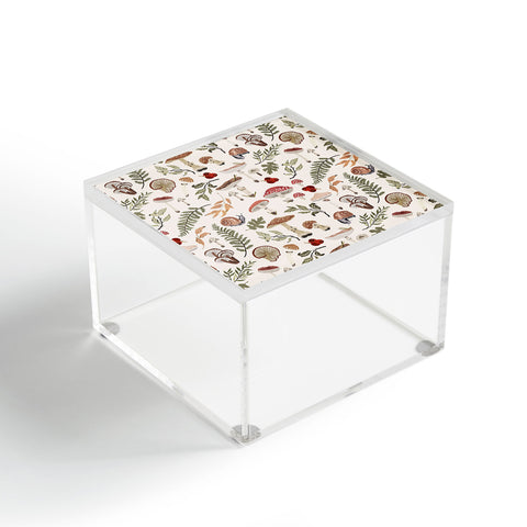 Marta Barragan Camarasa Mushroom seasonal Acrylic Box