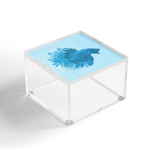 Martin Bunyi Beta Blue Acrylic Box