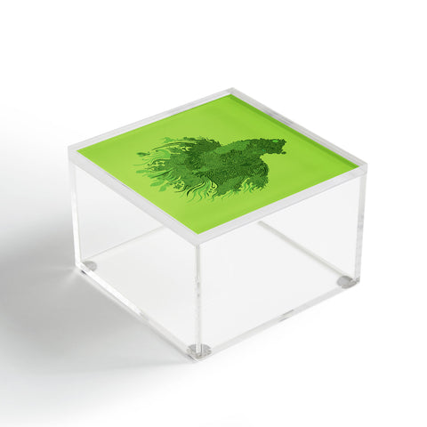 Martin Bunyi Beta Green Acrylic Box