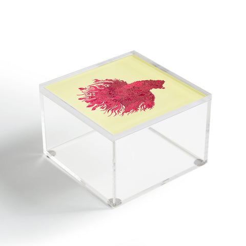 Martin Bunyi Beta Red Acrylic Box