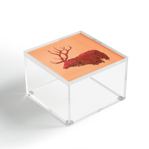 Martin Bunyi Elk Red Acrylic Box