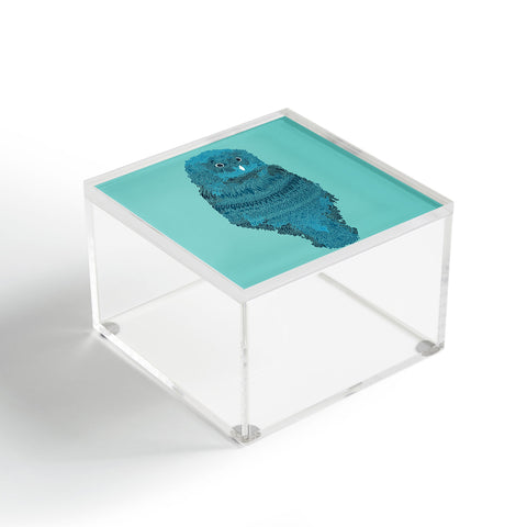 Martin Bunyi Owl Blue Acrylic Box