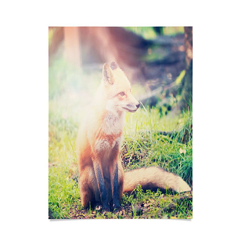 Maybe Sparrow Photography Sunny Fox Poster