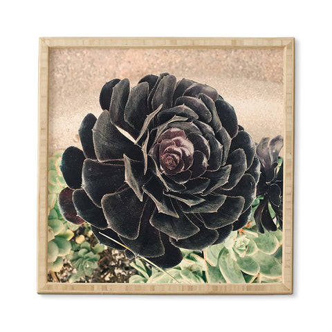 Maybe Sparrow Photography The Succulent Framed Wall Art