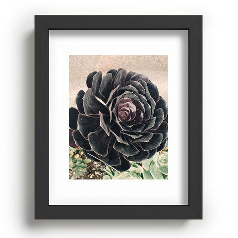 Maybe Sparrow Photography The Succulent Recessed Framing Rectangle