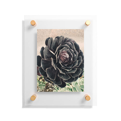 Maybe Sparrow Photography The Succulent Floating Acrylic Print