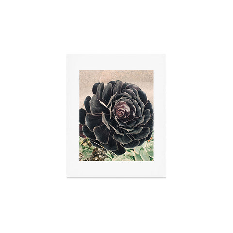 Maybe Sparrow Photography The Succulent Art Print