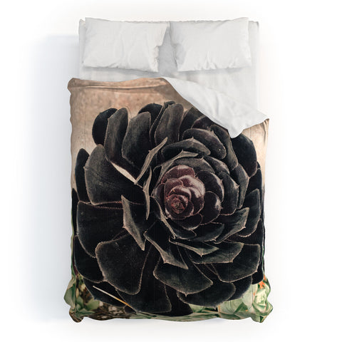 Maybe Sparrow Photography The Succulent Comforter
