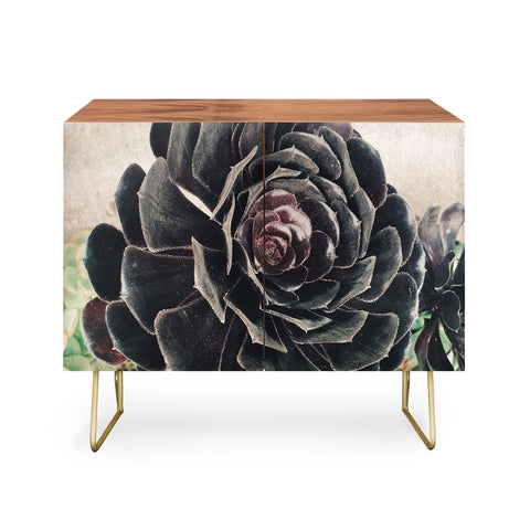Maybe Sparrow Photography The Succulent Credenza