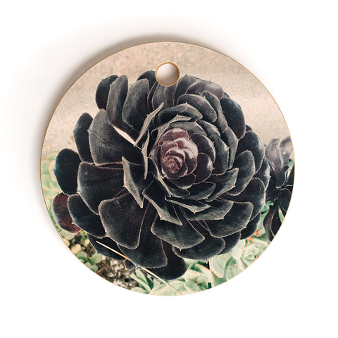Maybe Sparrow Photography The Succulent Cutting Board Round