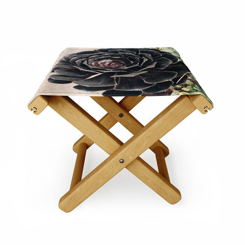 Maybe Sparrow Photography The Succulent Folding Stool