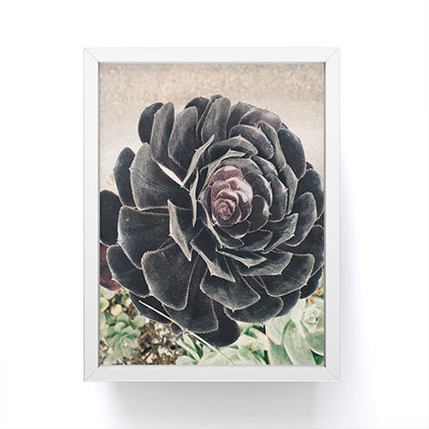 Maybe Sparrow Photography The Succulent Framed Mini Art Print