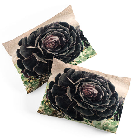 Maybe Sparrow Photography The Succulent Pillow Shams