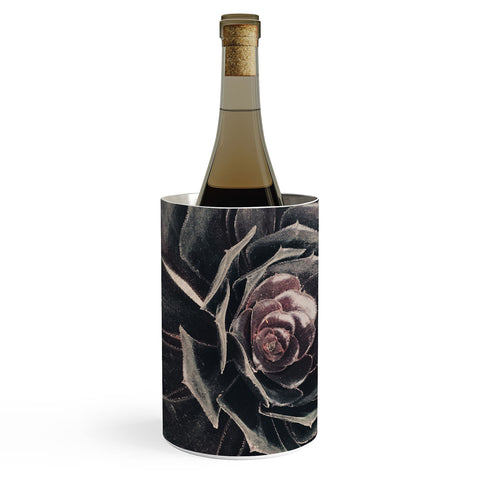 Maybe Sparrow Photography The Succulent Wine Chiller