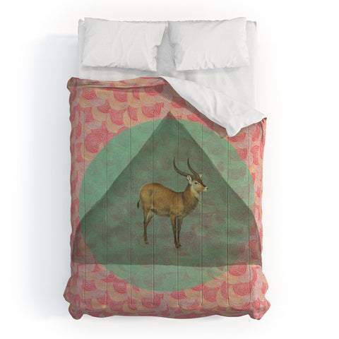 Maybe Sparrow Photography The Waterbuck Comforter