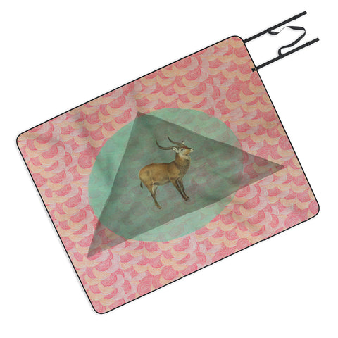 Maybe Sparrow Photography The Waterbuck Picnic Blanket