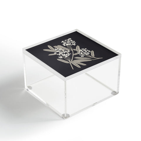 Megan Galante Boho Botanica Black Acrylic Box