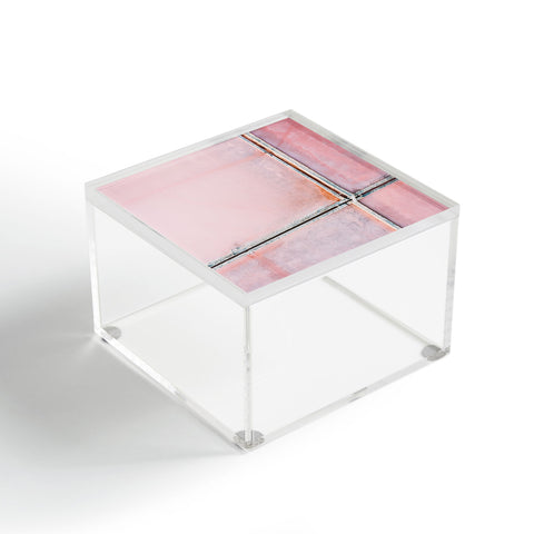 Michael Schauer Pink Salt Lake from above Acrylic Box