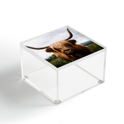 Michael Schauer Scottish Highland Cattle Acrylic Box