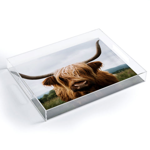 Michael Schauer Scottish Highland Cattle Acrylic Tray