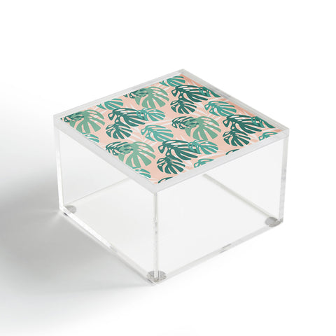 Mirimo Dream Tropical Acrylic Box