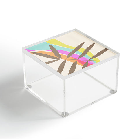Mirimo Stream Of Colour Acrylic Box