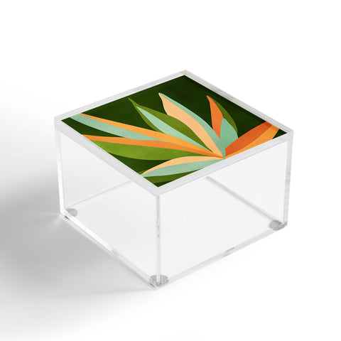Modern Tropical Colorful Agave Painted Cactus Acrylic Box