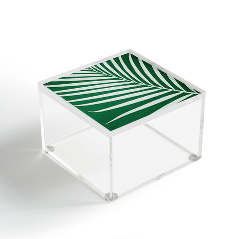 Modern Tropical Minimalist Palm Leaf Acrylic Box