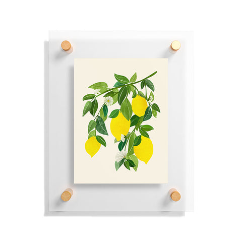Modern Tropical Summer Lemons Tropical Fruit Floating Acrylic Print