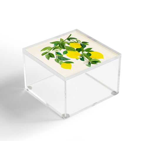 Modern Tropical Summer Lemons Tropical Fruit Acrylic Box