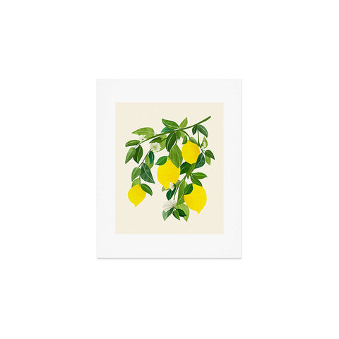 Modern Tropical Summer Lemons Tropical Fruit Art Print
