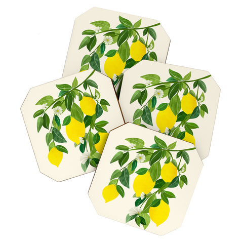 Modern Tropical Summer Lemons Tropical Fruit Coaster Set