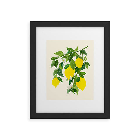Modern Tropical Summer Lemons Tropical Fruit Framed Art Print