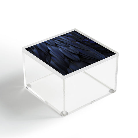 Monika Strigel 1P FEATHERS DARK BLUE Acrylic Box
