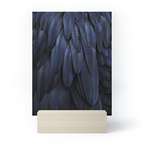 Monika Strigel 1P FEATHERS DARK BLUE Mini Art Print