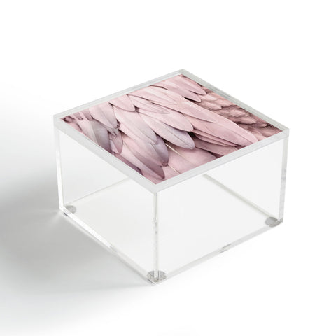 Monika Strigel 1P FEATHERS ROSE PASTEL Acrylic Box