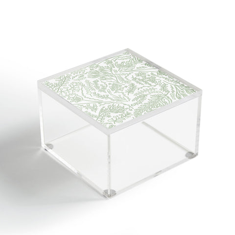 Monika Strigel HERBS AND FERNS GREEN AND WHITE Acrylic Box
