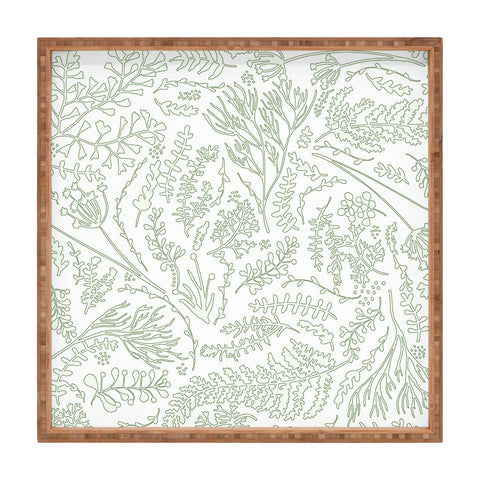 Monika Strigel HERBS AND FERNS GREEN AND WHITE Square Tray