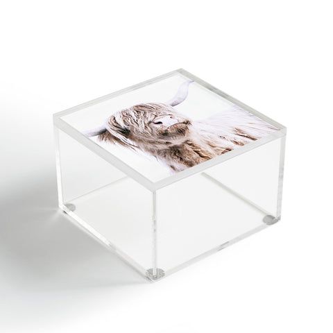 Monika Strigel HIGHLAND CATTLE Acrylic Box